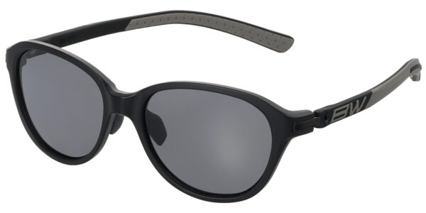 BW-0310F